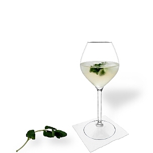 Hugo is a sweet champagne cocktail from Austria with elderflower syrup and peppermint.